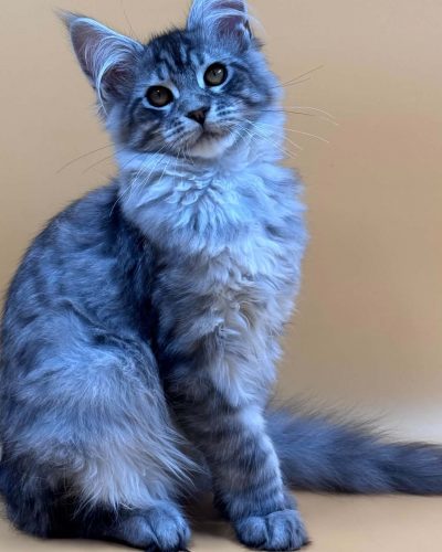 Unknown-4496