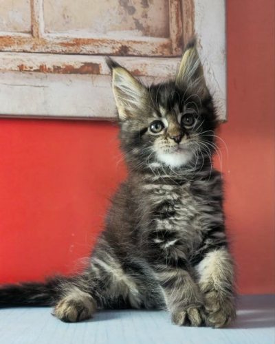 Unknown-4572