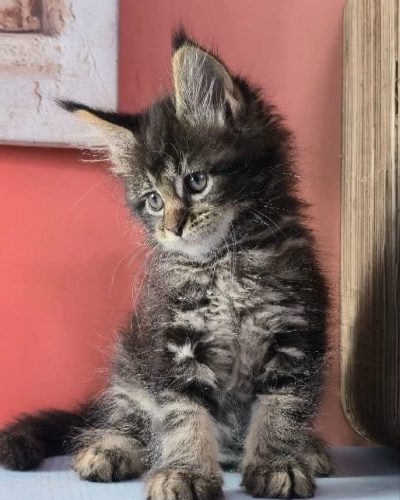 Unknown-4573