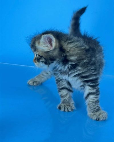 Unknown-4694