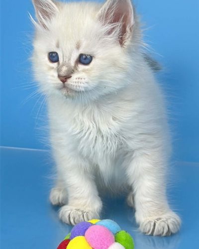 Unknown-4705