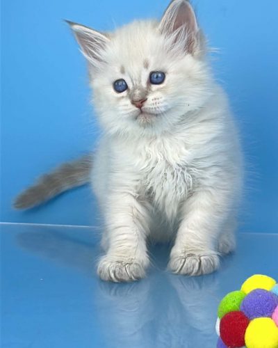 Unknown-4706