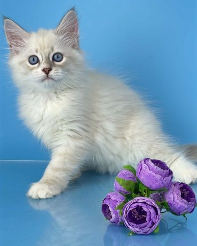 Unknown-4717