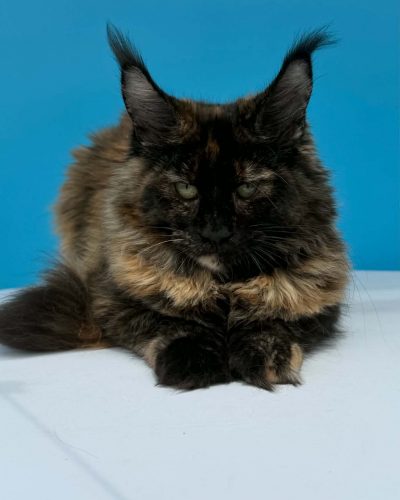 Unknown-4963