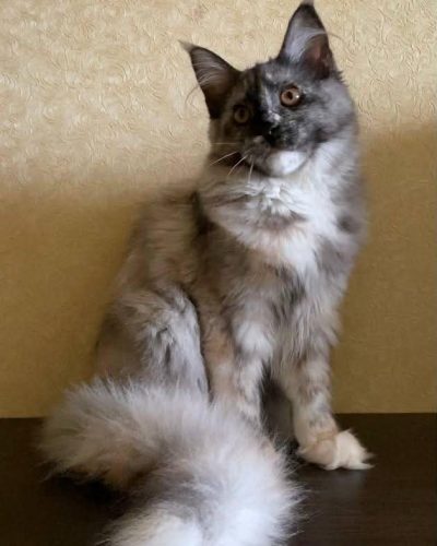 Unknown-5187