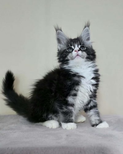 Unknown-5324