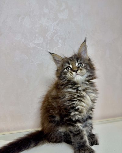 Unknown-5367