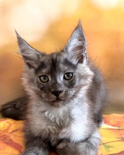 Unknown-5853