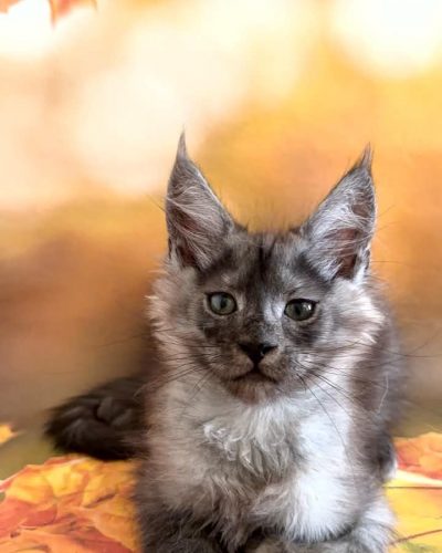 Unknown-5854