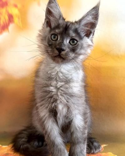 Unknown-5857