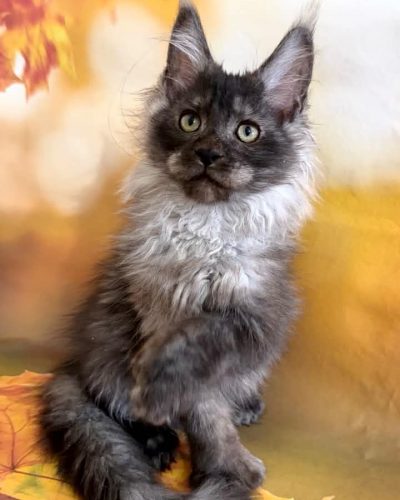 Unknown-5860