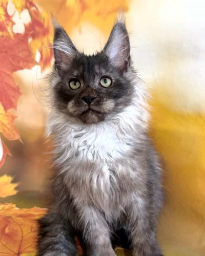 Unknown-5862