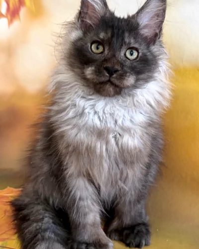 Unknown-5863