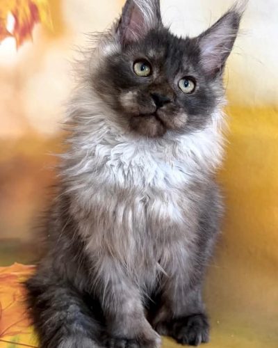 Unknown-5864