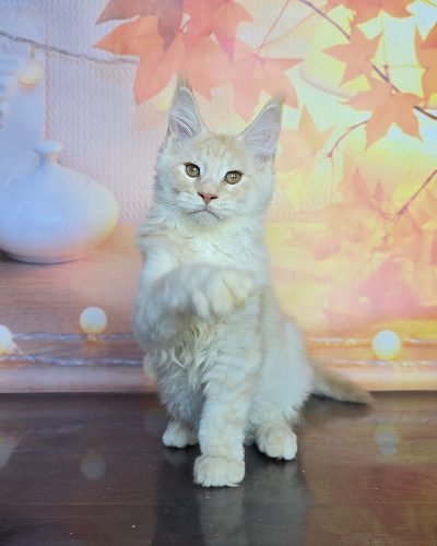 Unknown-5869