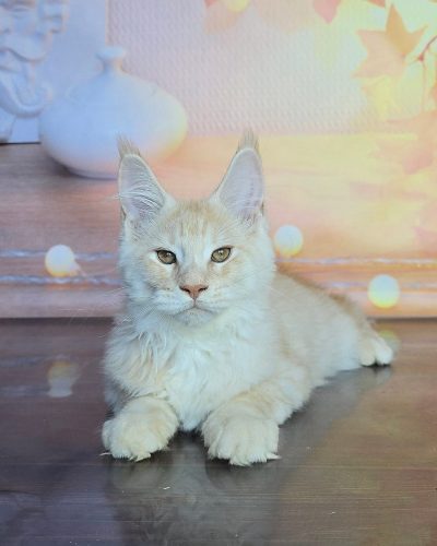 Unknown-5872