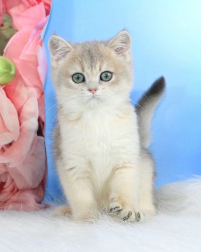 Unknown-5879