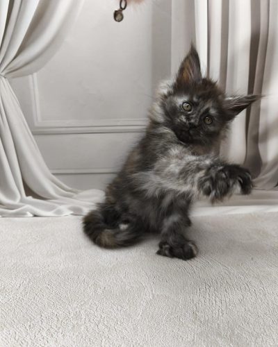 Unknown-949