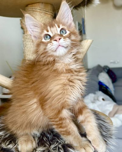 a1f03013-eff4-4127-9d74-c6af6b8325da