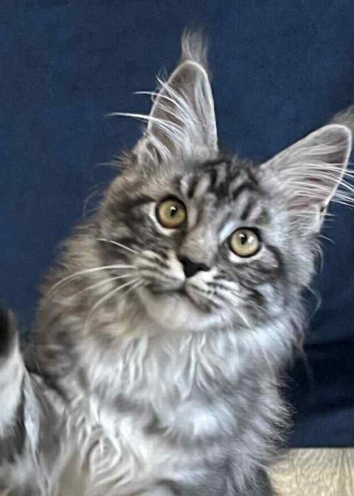 a1f1b0fd-2e4d-49e3-b11e-d923897bdb86