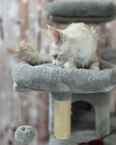 abb133f0-d0b6-4389-9707-eb045b496e90