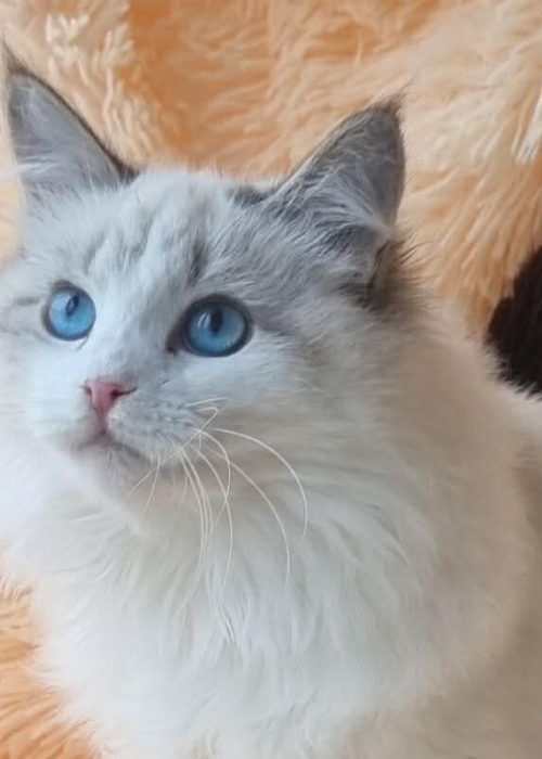 abe27ba5-25c5-4866-b524-f7d2e3ae55a2