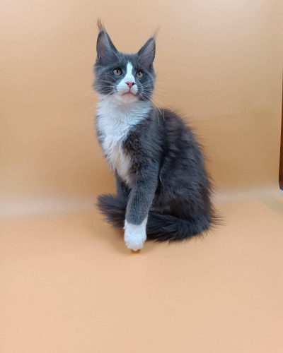 att.-Cdq-wZRvd9qLgTze1h0ZV7fENOHHxw6ALTAyiXnJX0