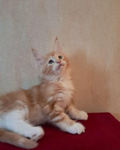 att.0gp6AZ6ArpVLxOE8E3Tc7LHPyaTv1fbLjtsHcnyQErU