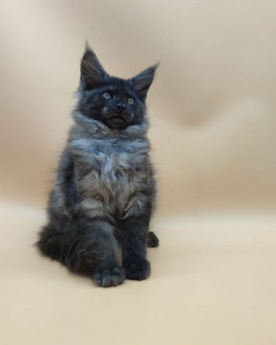 att.1PATrfGeZdZN2eljvBfc7xsThOLAl5DMVSYLWCOjMSc