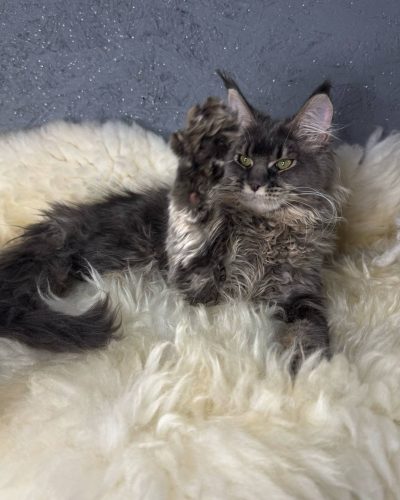 att.1zXWlOxM6yXucwMfQE2ZCbRjuaVIneF2KxxT-CPzeEw