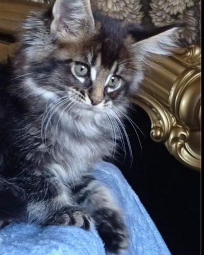 att.3utjQRePO_VlaH1sUzRPyjXFYZ8RNo_anrA8hZkBedU