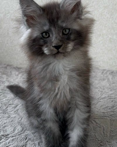 att.41xDydwMN6VxU5XFnpp4lHBYqdd2--REHrLeznfZ4FA