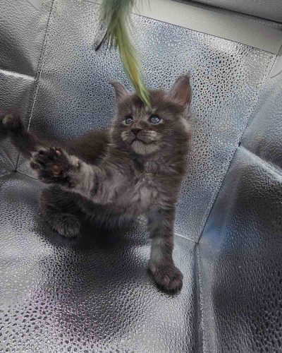 att.5629D5jaHzBWt7Uqyp8GJpH3f5Gsf38Zq_pLlyzNX4s