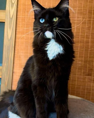 att.5mphCzG7VcGv3I7him_ROJoeMJfMmkBX-ST7lpSlnxg