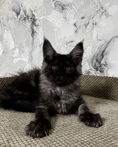 att.6KM7adQbR5VkInZVAMS9jQhR9qpMeZSaqJ7VfRAMGzY