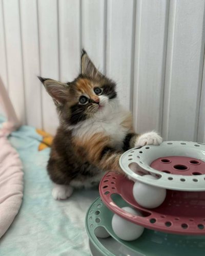 att.6byoByi0q2BSxq-rJFXaNz_Od0n7HV42kq2bk-H3pr0