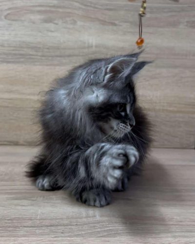 att.6iS6pT2stLFKCKZZIaKUfOejlFaIbG0QTg1brFQlgyA