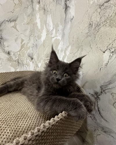 att.7y0OHtQOJPbrZXNWY4atNA_1JtrmGelsrCMoyxcXa6g