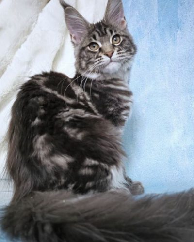 att.8ZHGRcltnsk2UZSYag4NA9EYTZysWC47Sb5fcfj7u70