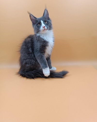 att.Et57Tb0u0yNR8tKS9FZwRKjEGmYLjDj4fwOxPS-YETg