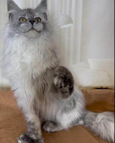 att.FKmfP68CVOP-QW6SLVTOTEjpTF7LNenVlFFMPep-Tf8