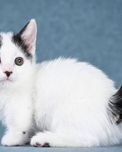 att.FpTfj62n-yR-NJUDx8uwKtDRFoZMgsq2s3SOZL6k1Ho