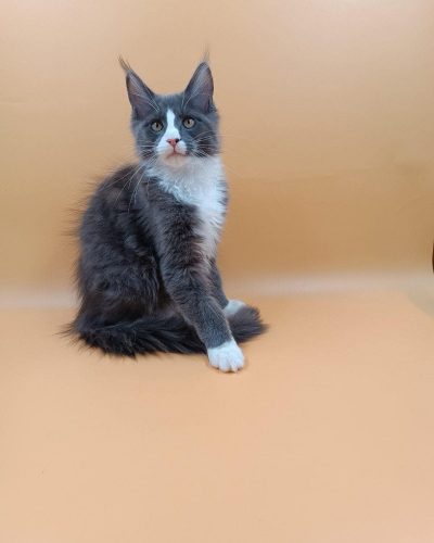 att.HhezZF-UNODJJ1BDpksVTLOZxE-o5-rDEkW8Pqsy2kc