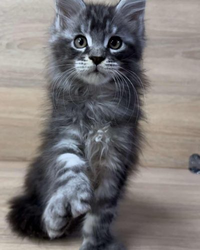 att.ICItaUifXG-yuwlvhSq8Q0BwTDr0Apb6jBl6GA2zpWM