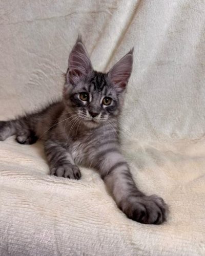 att.IId7dZpHBQJEUGiTy6ZUjVJ1X6wpHD-ouC_P72UoMxE