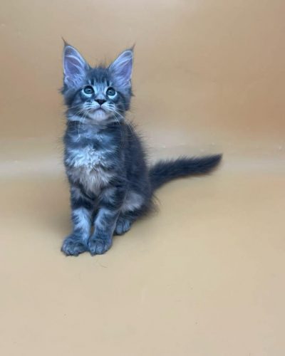 att.KDXZ-cvB_ubuQryr7OuRVj51z3Qr1Uzt9yJ2kPWKSRI