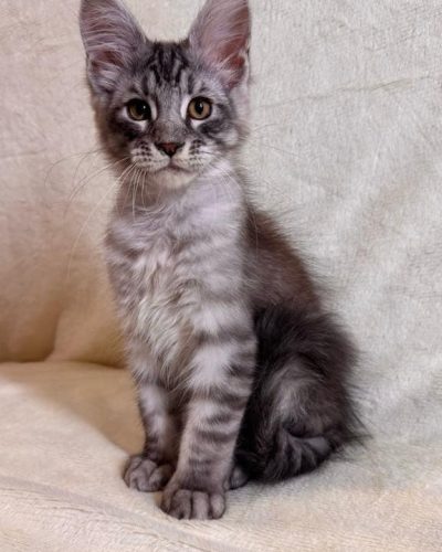 att.NZ3B3onPGuOBxRCoIP_cPoJTJRaQIh7CnaZw_DDHj7Q