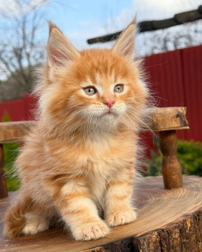 att.ODHf5t-Qw0QTyh1zLcYwxu4YskFCTZN_XTb9ySD8wvE