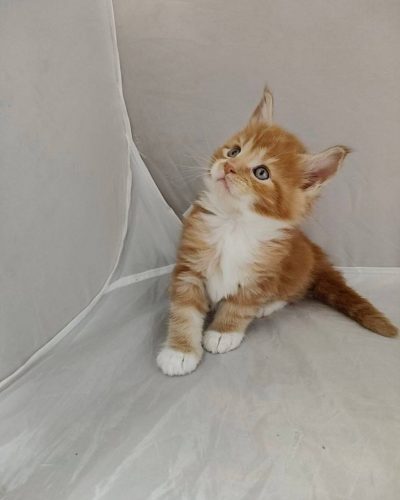 att.OmyuDVgBaY9zkTEium_0xPH6nWhhBM23fTJujxRcO3s