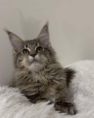 att.PHjBPTnMpMD5wSHexSYthGeRdaVcKeXo98cmY9Xw5Rc